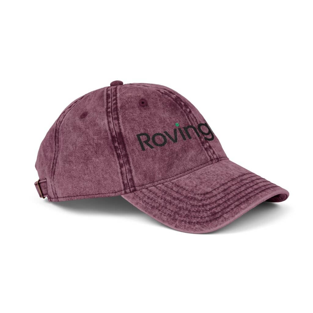RovingPod Embroidered Distressed Vintage Cap - Image 10