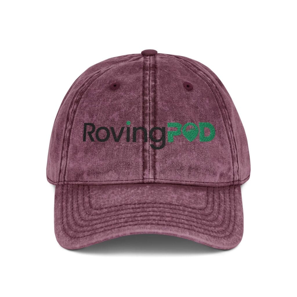 RovingPod Embroidered Distressed Vintage Cap - Image 9