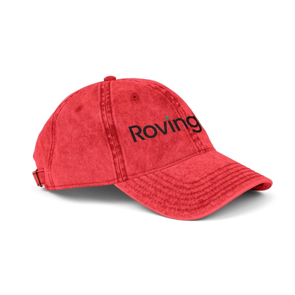 RovingPod Embroidered Distressed Vintage Cap - Image 2