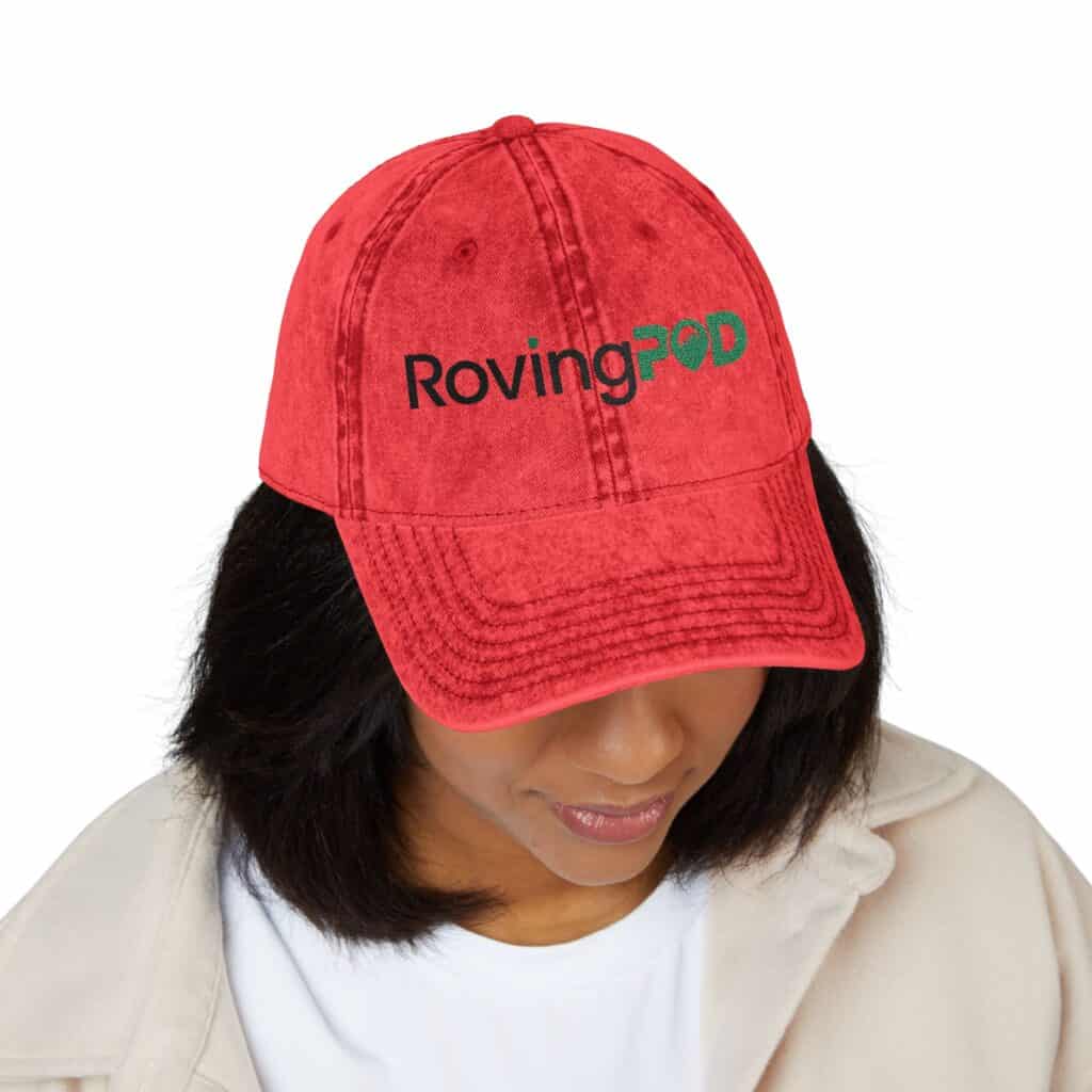 RovingPod Embroidered Distressed Vintage Cap - Image 3