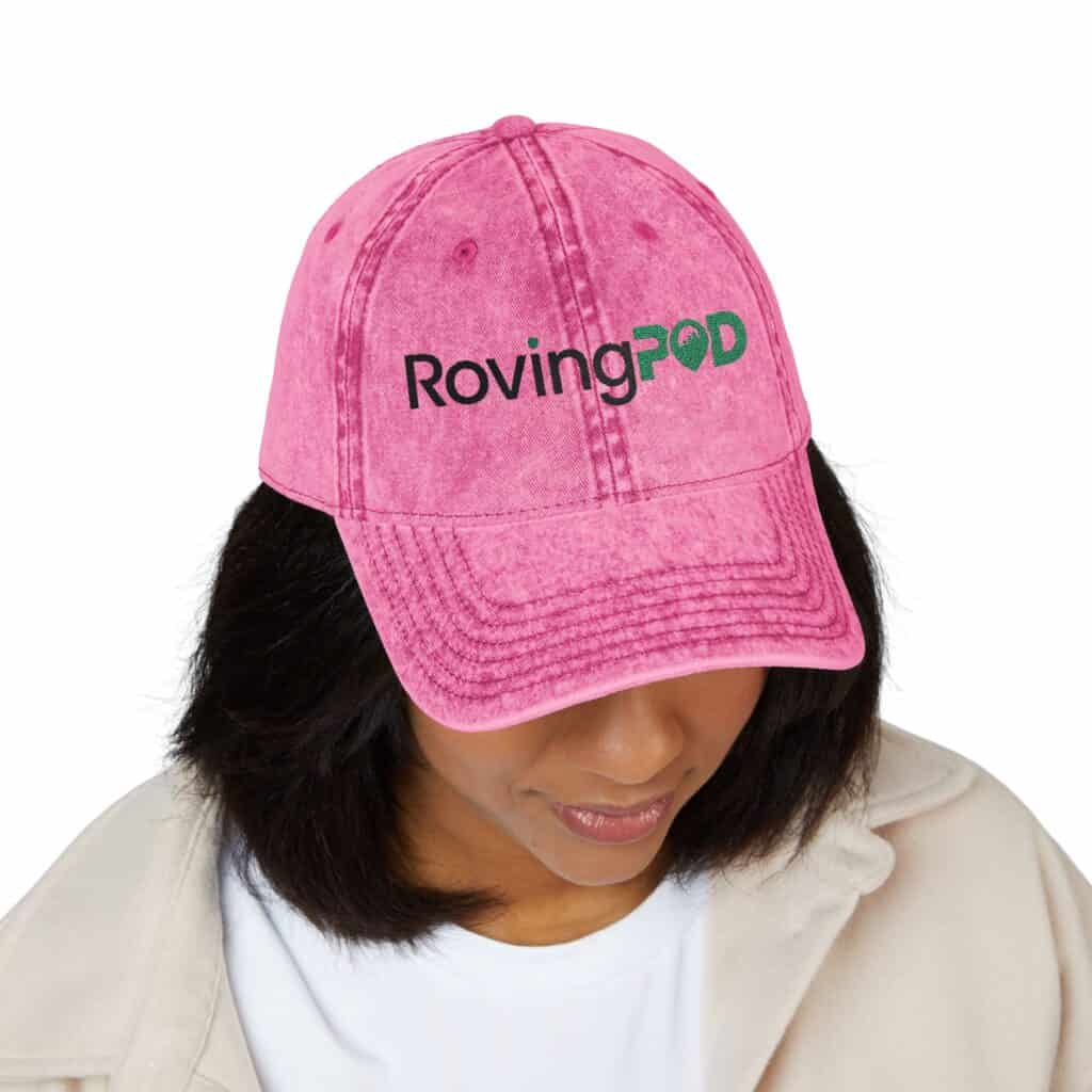 RovingPod Embroidered Distressed Vintage Cap - Image 7