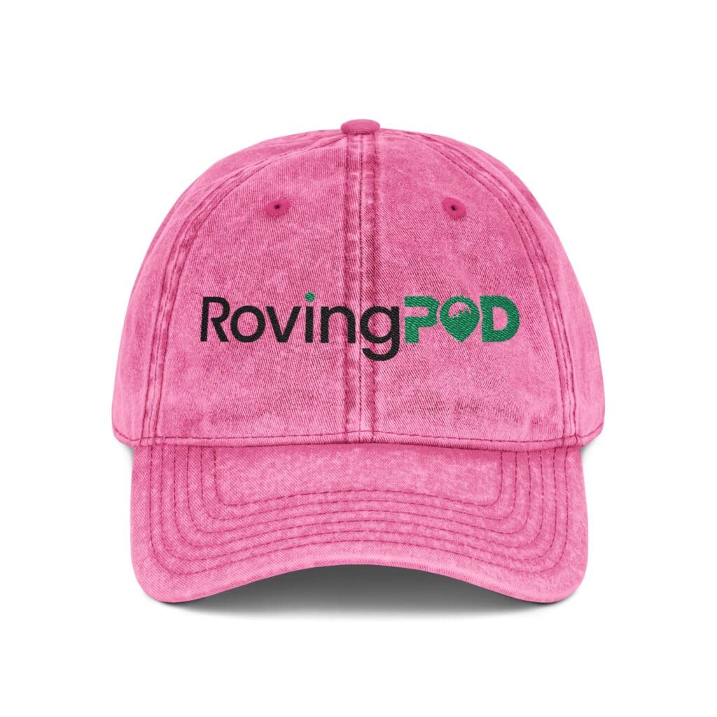 RovingPod Embroidered Distressed Vintage Cap - Image 5