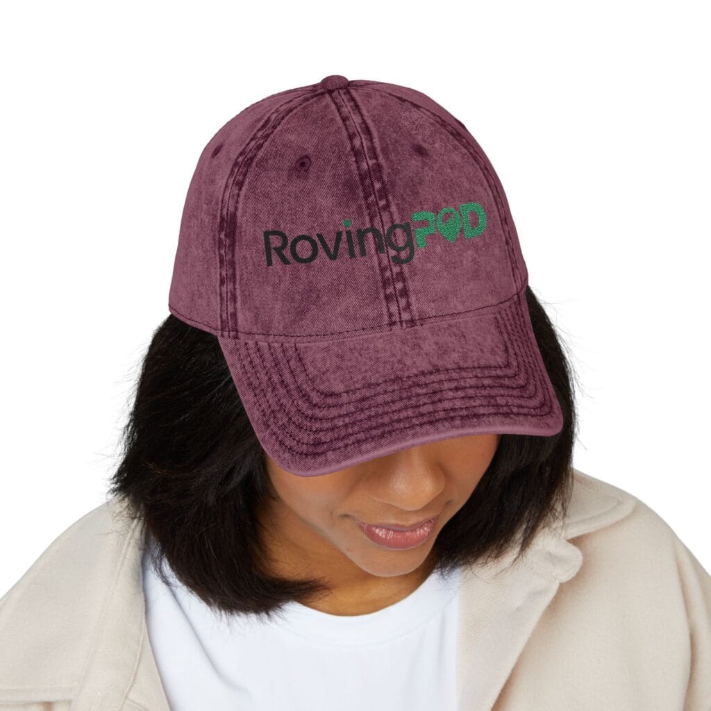 RovingPod Embroidered Distressed Vintage Cap - Image 11